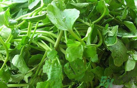 水腫能吃茄子嗎？茄子能消水腫嗎？