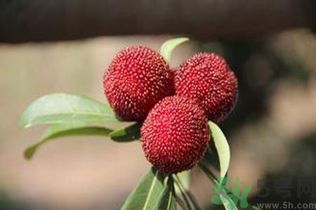 吃楊梅會(huì)上火嗎？吃楊梅上火怎么辦？