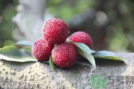 吃楊梅會(huì)上火嗎？吃楊梅上火怎么辦？
