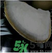 椰子可以放冰箱嗎？椰子放冰箱容易壞嗎？
