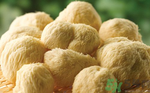 吃猴頭菇有什么好處？猴頭菇有什么營養(yǎng)價值？