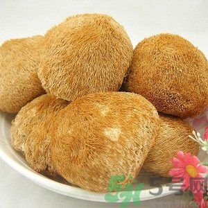吃猴頭菇有什么好處？猴頭菇有什么營養(yǎng)價值？