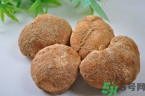 猴頭菇粉怎么做？猴頭菇餅干怎么做？