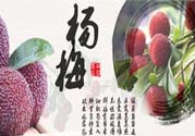 喉嚨痛可以吃楊梅嗎？喉嚨痛吃楊梅好嗎？