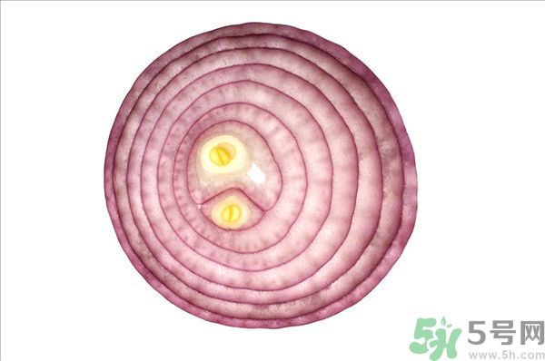 吃洋蔥上火嗎？吃洋蔥會上火嗎？