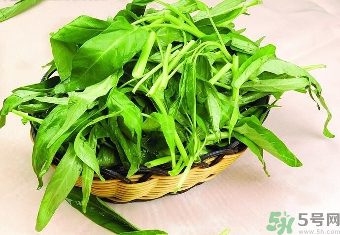 空心菜有什么功效？空心菜的功效是什么？