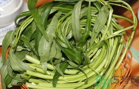 空心菜吃葉子還是吃桿？空心菜吃葉子好嗎？