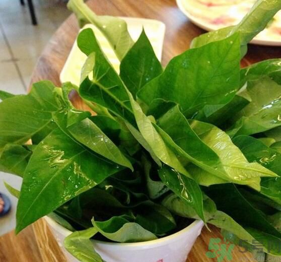 空心菜泡水了還能吃嗎？泡水的空心菜可以吃嗎？