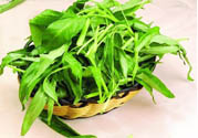 吃空心菜有什么好處？多吃空心菜對身體好嗎？