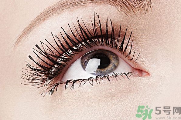 眉毛淡是種怎樣的體驗？眉毛淡是什么原因？