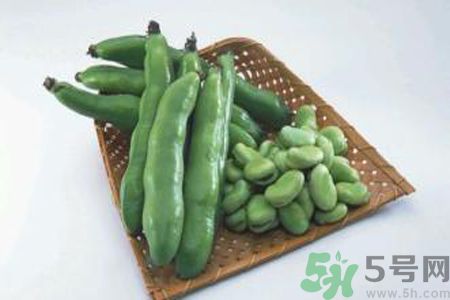 蠶豆是熱性還是涼性？蠶豆是熱性的嗎？