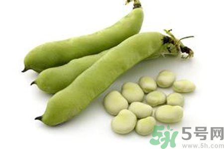 寶寶可以吃蠶豆嗎？寶寶多大可以吃蠶豆？