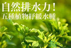 南瓜去水腫嗎？南瓜能消腫嗎？