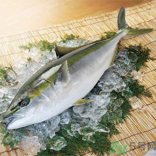 冷凍肉解凍不好吃怎么辦？冷凍肉怎樣解凍好吃？