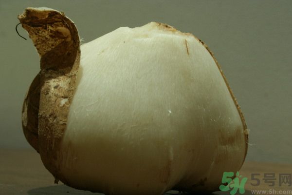 涼薯吃多了好嗎？地瓜吃多了會上火嗎？