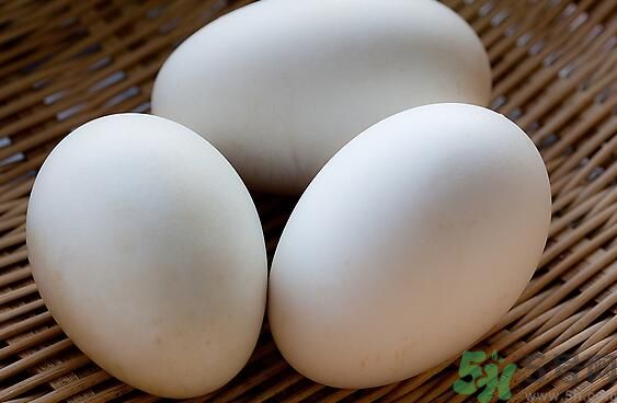鵝蛋可以清火嗎？鵝蛋可以降火嗎？