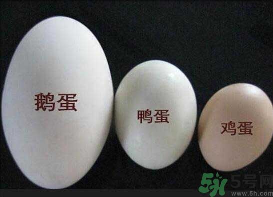 鵝蛋和鴨蛋哪個好？鵝蛋和鴨蛋哪個清火效果好？