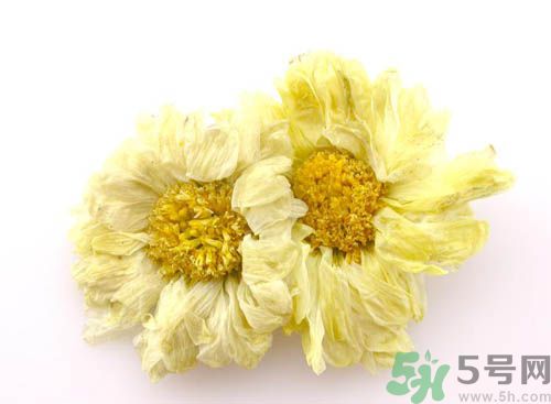 菊花晶能喝綠豆湯一起喝嗎？菊花晶和綠豆湯可以一起喝嗎？