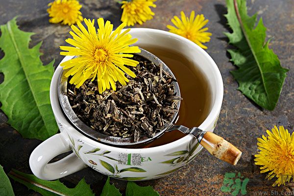 蒲公英泡茶有什么功效？蒲公英泡茶的功效是什么？