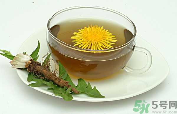 蒲公英根泡茶好還是蒲公英葉泡茶好？蒲公英根和葉哪個(gè)效果好？