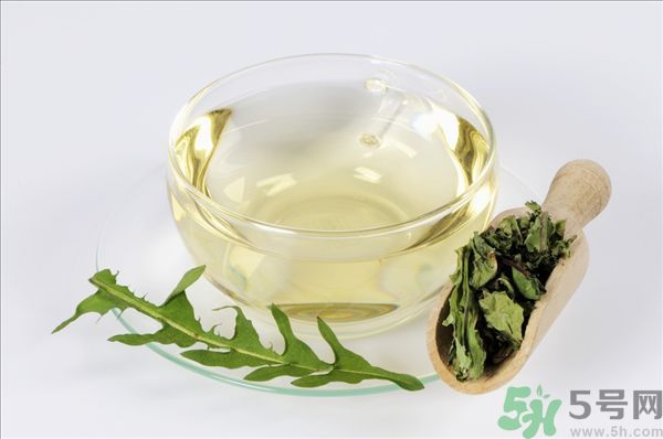 蒲公英泡水喝有副作用嗎？蒲公英泡水喝要注意什么？