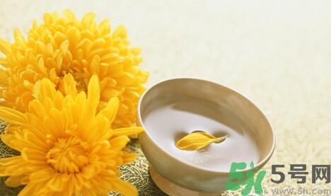 蒲公英可以祛痘嗎？蒲公英怎樣可以祛痘？
