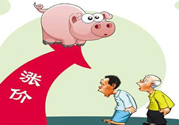 豬肉價(jià)格為什么驚動(dòng)世界？豬肉價(jià)格一直上漲的原因是什么？