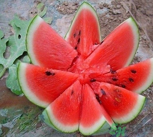 坐月子能吃西瓜嗎？坐月子吃西瓜好不好？