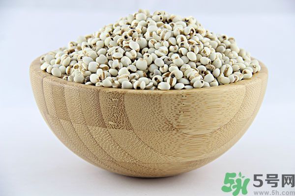 夏天吃薏米好嗎？夏天吃薏米有什么好處？