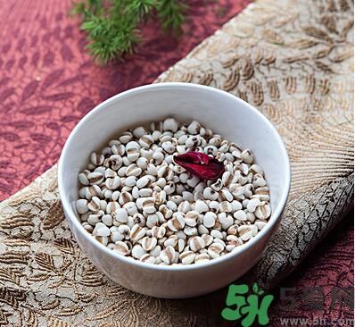夏天吃薏米好嗎？夏天吃薏米有什么好處？
