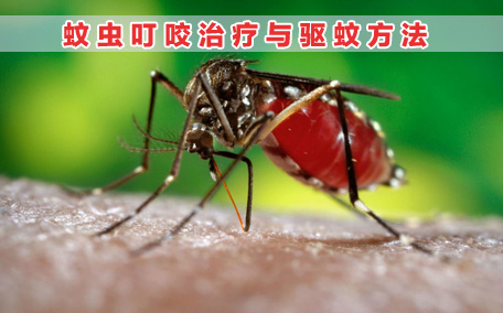 驅(qū)蚊噴霧的原理 驅(qū)蚊噴霧的正確使用方法