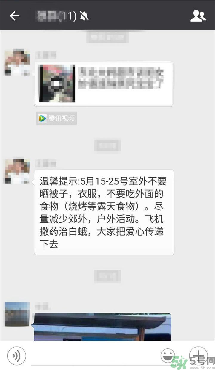 為什么15-25號不要曬被子？什么是美國白蛾？