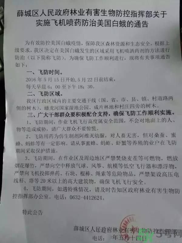 為什么15-25號不要曬被子？什么是美國白蛾？