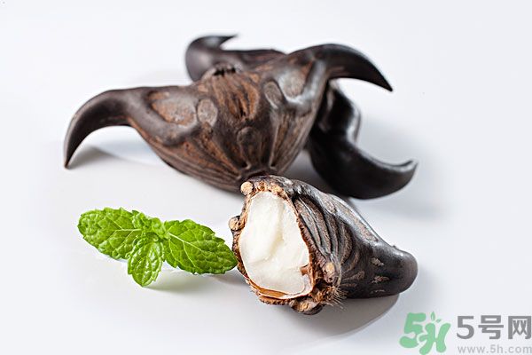 菱角是涼性的嗎？菱角是涼性還是熱性的？