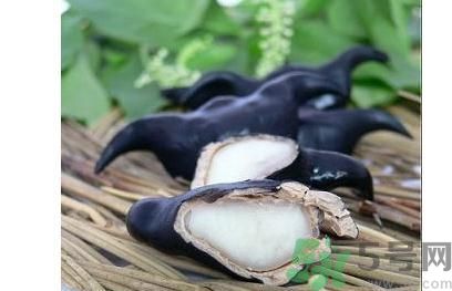 菱角怎么剝完整？菱角剝不開怎么辦？