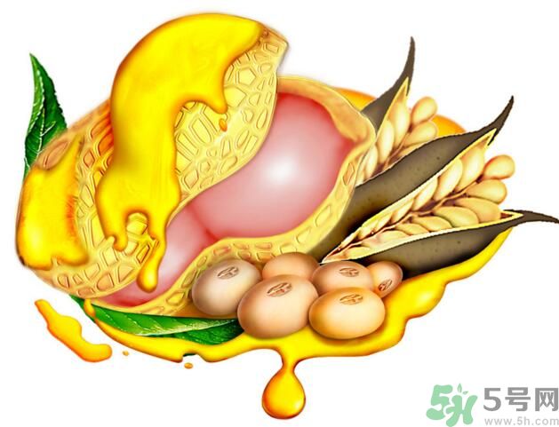 夏天吃哪種油好？什么油適合夏天吃？