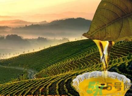 茶籽油可以天天吃嗎？可以每天用茶籽油炒菜嗎？