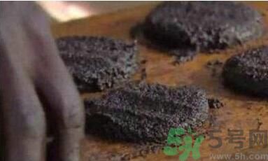 蚊子可以吃嗎？吃蚊子會怎么樣？