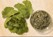 夏天可以喝銀杏葉茶嗎？夏天喝銀杏葉茶好嗎？