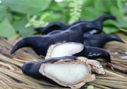 菱角汁染色怎么辦？菱角汁怎么洗掉？