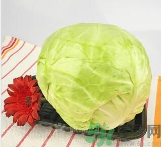包菜可以生吃嗎？包菜可以涼拌嗎？