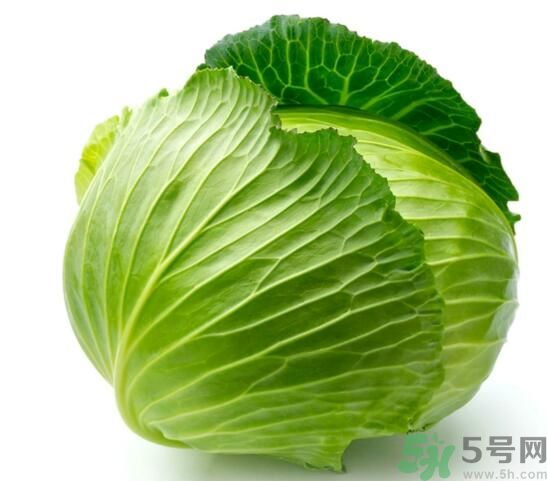 包菜可以放冰箱嗎？包菜怎么保存？