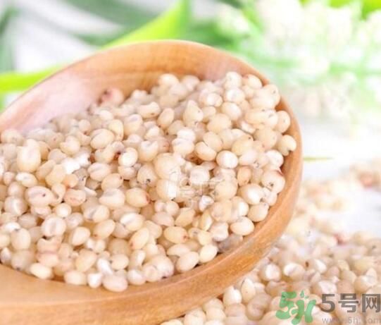 高粱米是發(fā)物嗎？高粱米是不是發(fā)物？