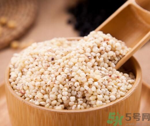 高粱米是發(fā)物嗎？高粱米是不是發(fā)物？