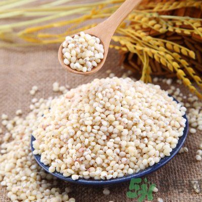 高粱米能做飯嗎？高粱米做飯好嗎？