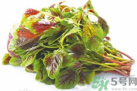 孕婦可以吃漢菜嗎？懷孕可以吃漢菜嗎？