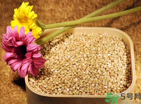 蕎麥?zhǔn)前l(fā)物嗎？蕎麥?zhǔn)遣皇前l(fā)物？