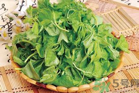 胃不好可以吃莧菜嗎？胃不好吃莧菜好嗎？