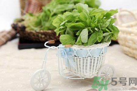 糖尿病可以吃莧菜嗎？糖尿病吃莧菜好嗎？