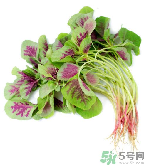 吃莧菜會(huì)皮膚過敏嗎？吃莧菜皮膚過敏怎么辦？